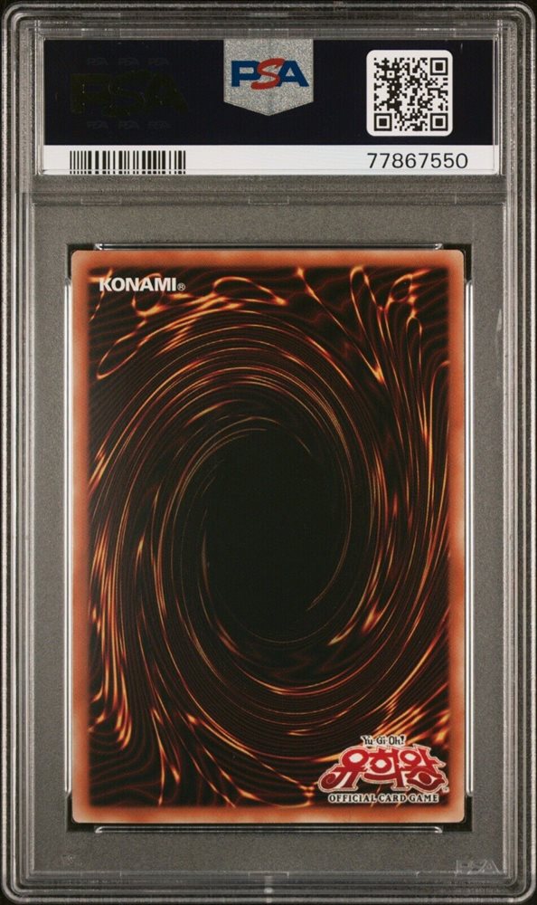 dryfieri