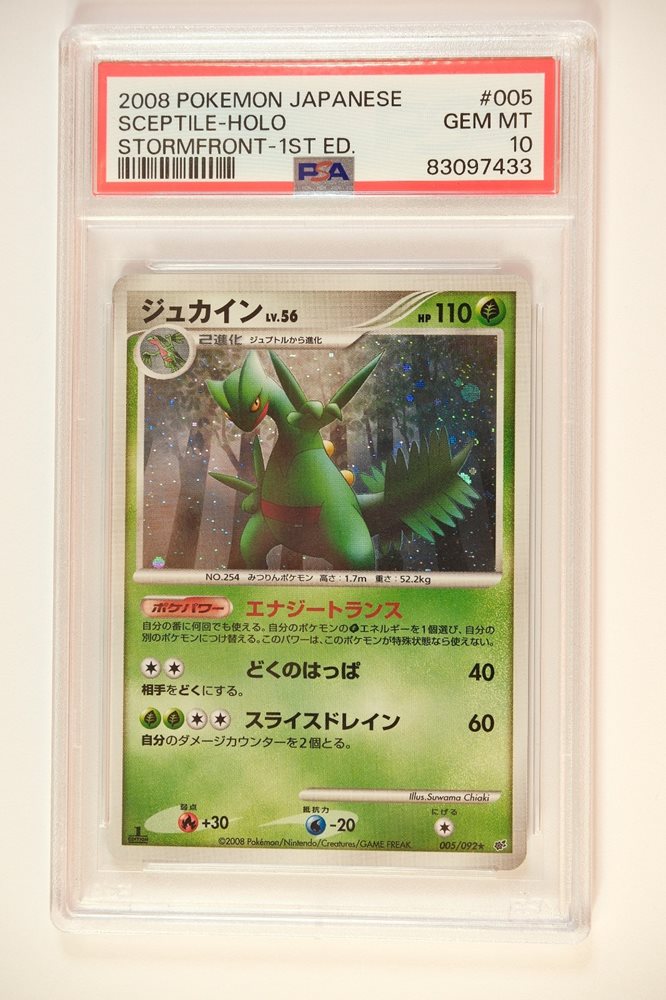 Auction Prices Realized Tcg Cards 2008 POKEMON JAPANESE STORMFRONT