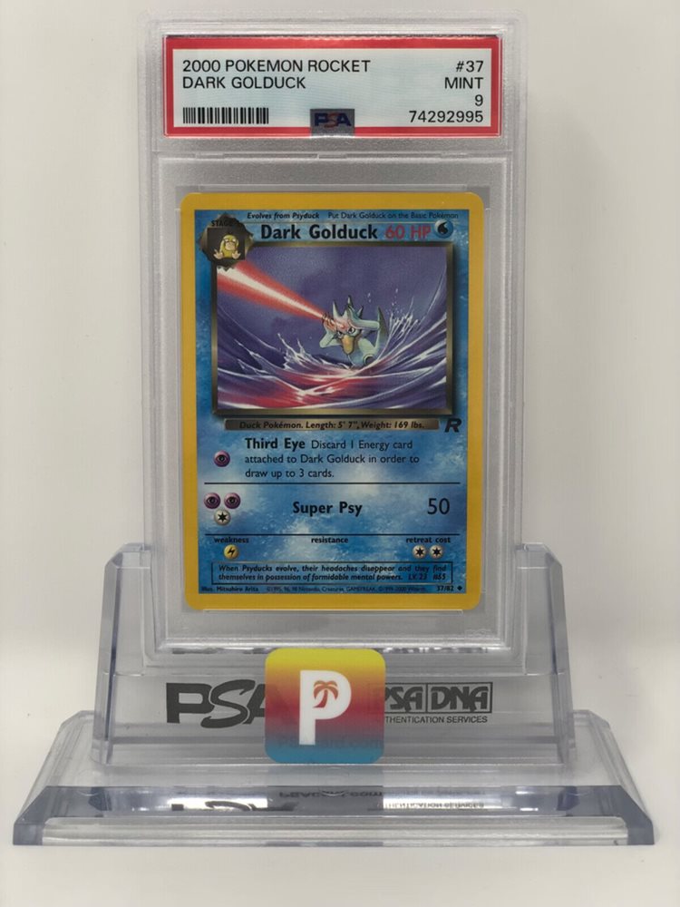poke_paradise