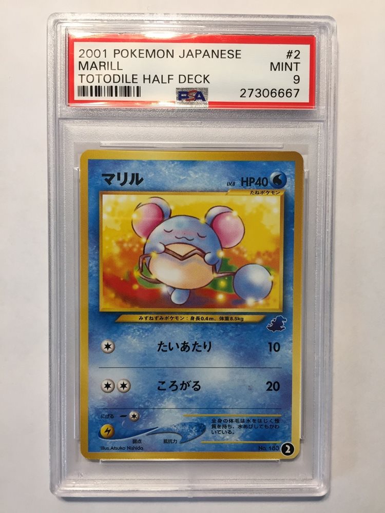 Ebay Auction Item Tcg Cards 01 Pokemon Japanese Totodile Half Deck Ebay Auction Item Tcg Cards 01 Pokemon Japanese Totodile Half Deck
