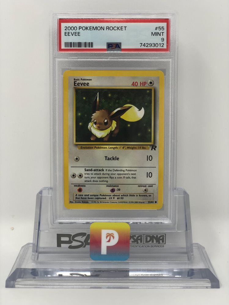 poke_paradise