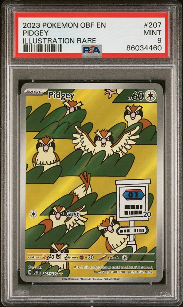 kendallsquarecollectibles