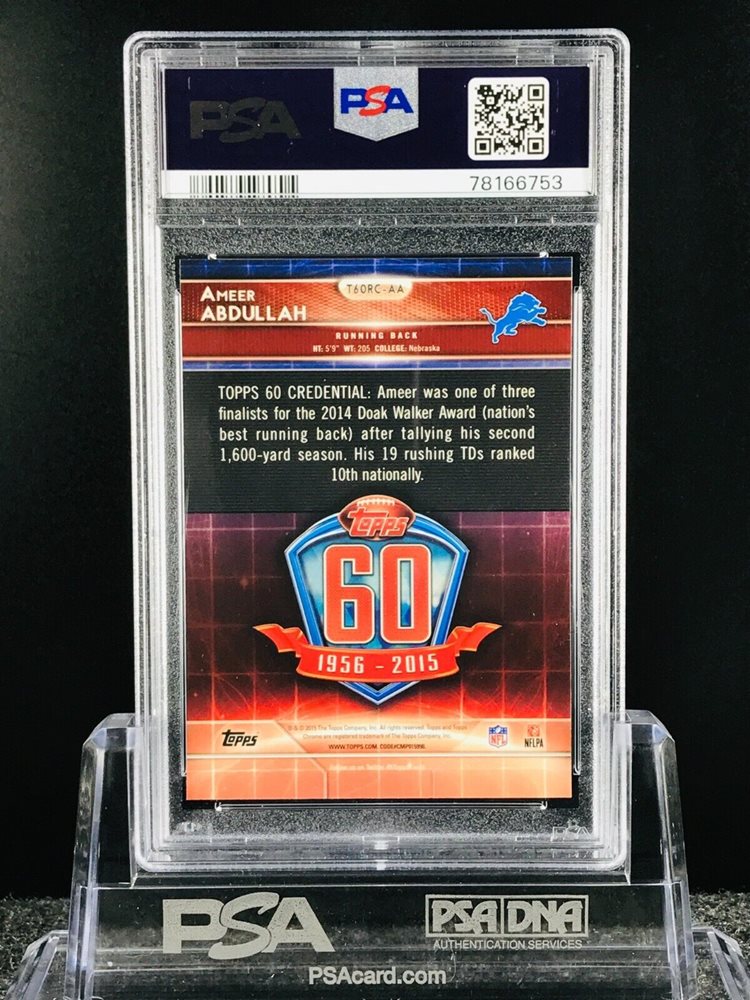 pacific-wonderland-collectibles