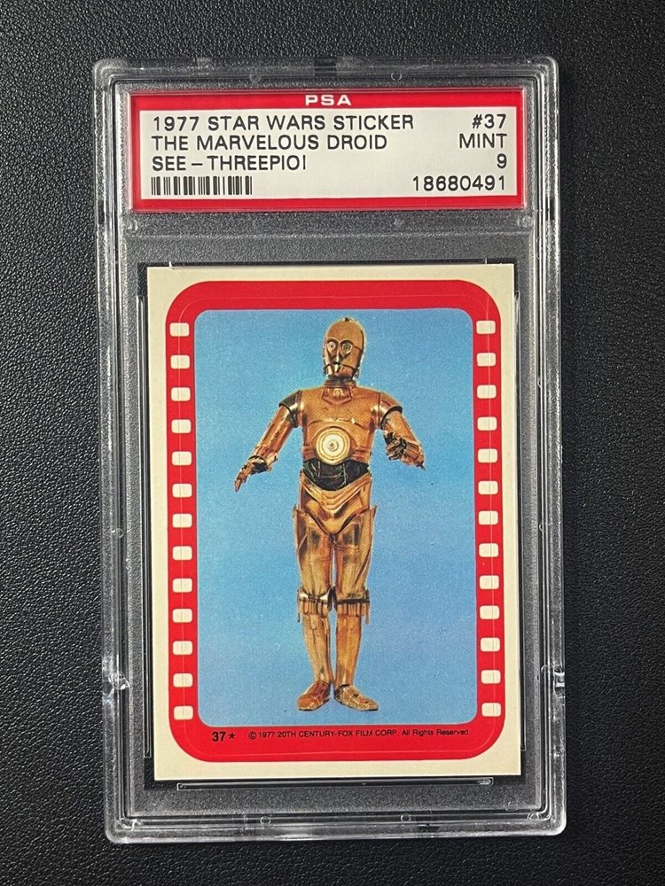 mc_sportscards