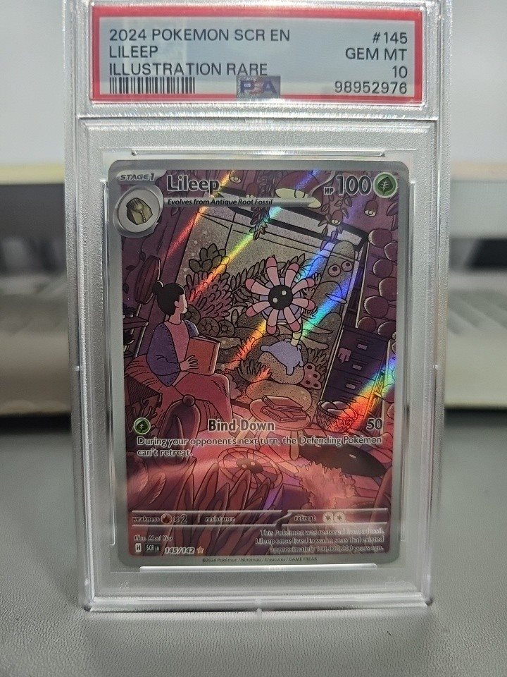 thumbnail image 2 of Pokemon TCG Lileep 145/142 Illustration Rare – Stellar Crown, Near Mint 2 of 2