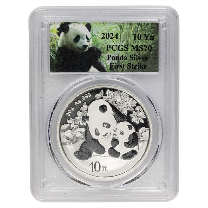 2024 30g .999 Silver Chinese Panda, 10Yn PCGS MS 70, MS70 - PCGS
