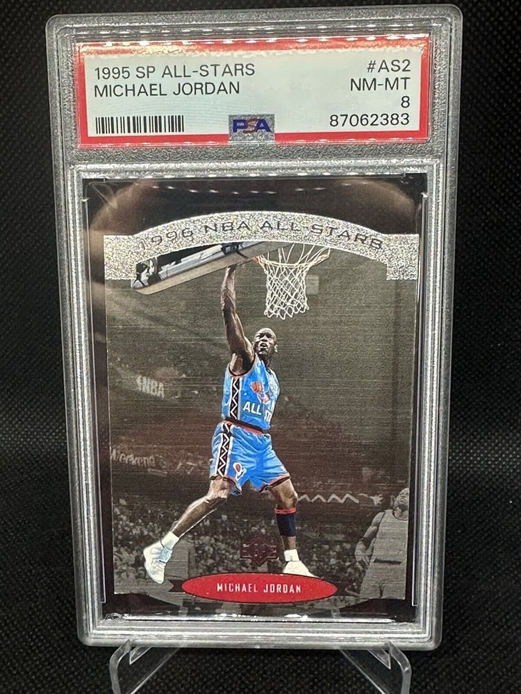 michael jordan マイケル・ジョーダン 1995-96 インサート