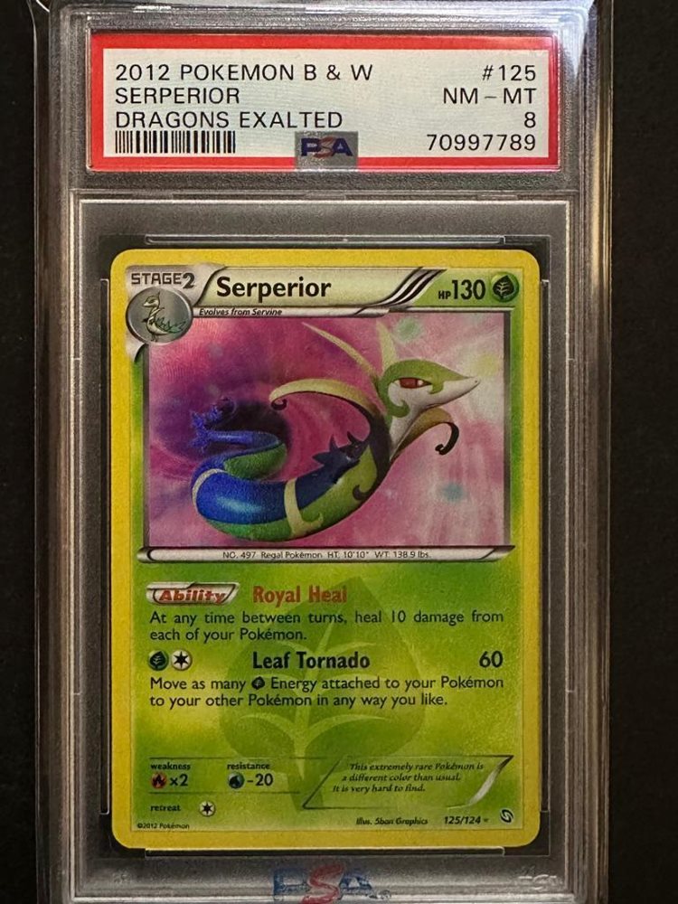 sportcardauctionscom