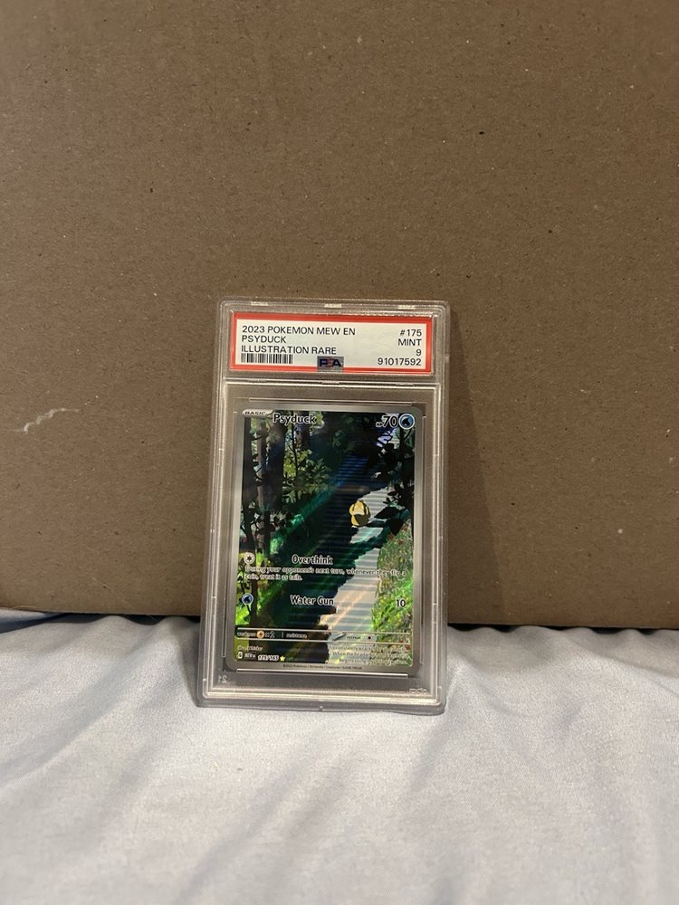 v8nn6_30