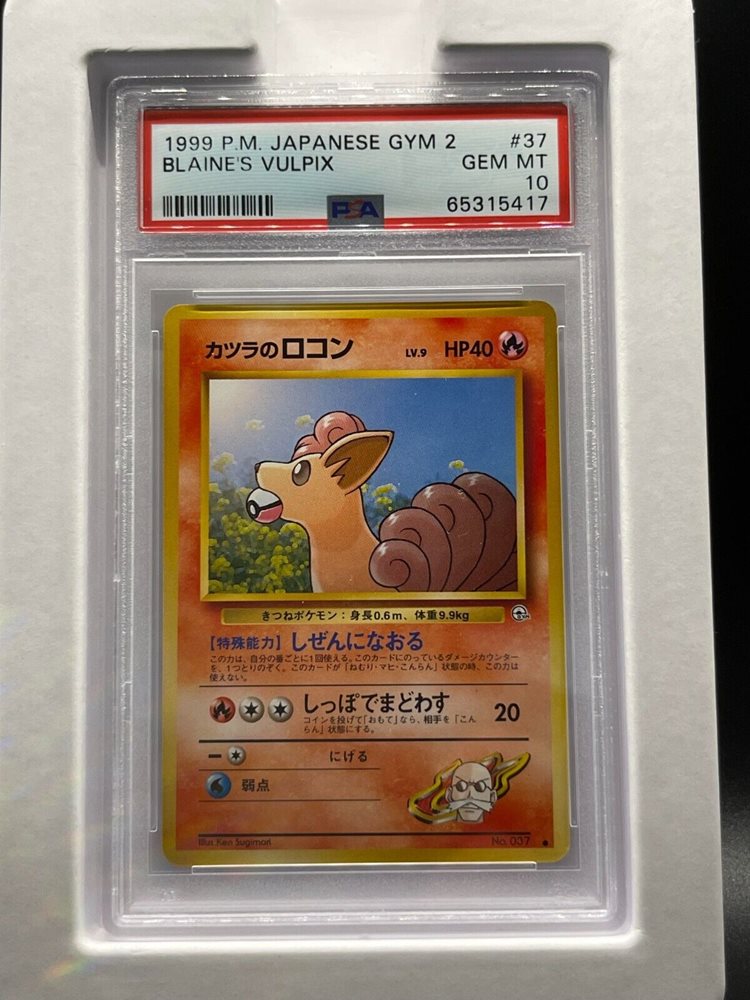 big-time-collector