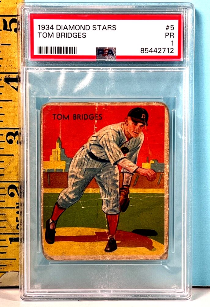 chubbycatcollectibles