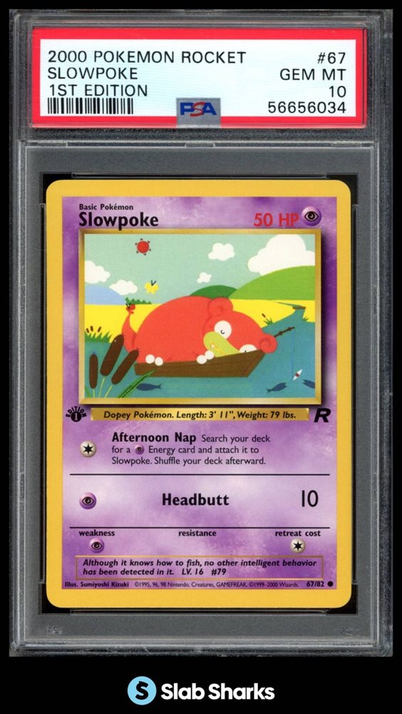 slabsharksinc