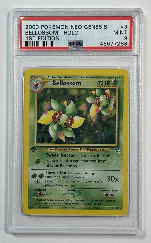 palmettocards803