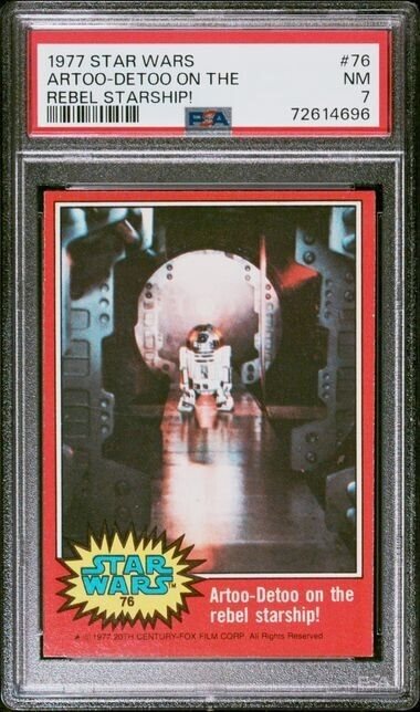 cotton_and_pine_collectibles