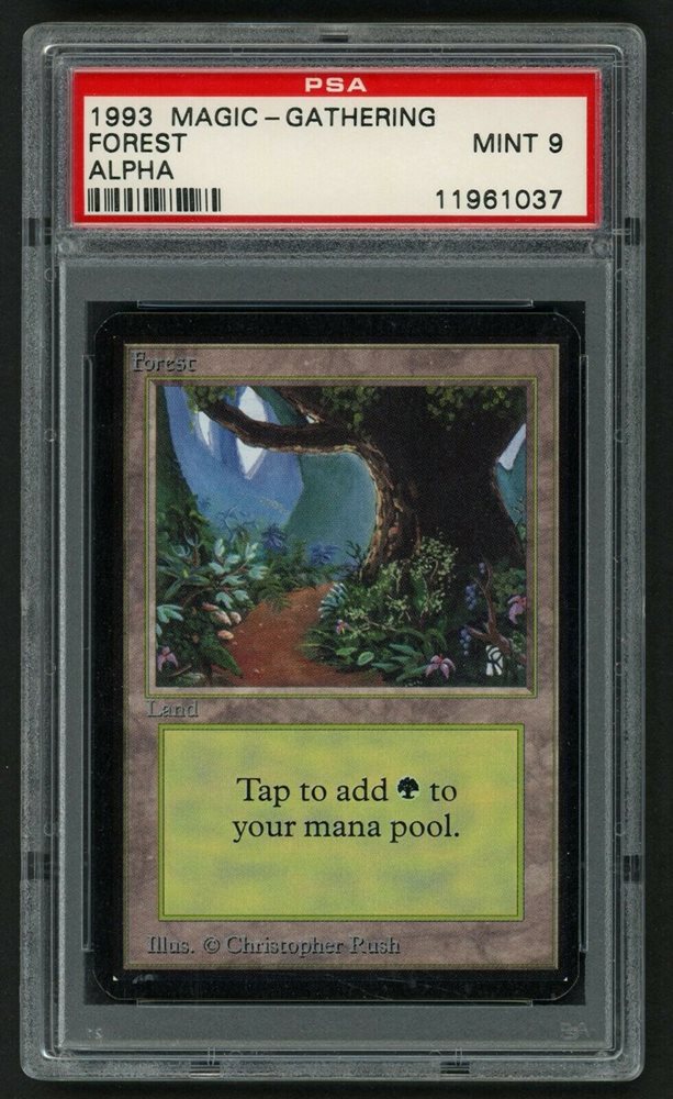 マジック：ザ・ギャザリング MTG  covered forest PSA10 マジック：ザ・ギャザリング MTG covered forest PSA10 マジック