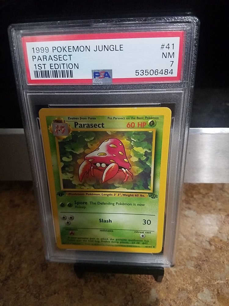 thepokemoncollector123