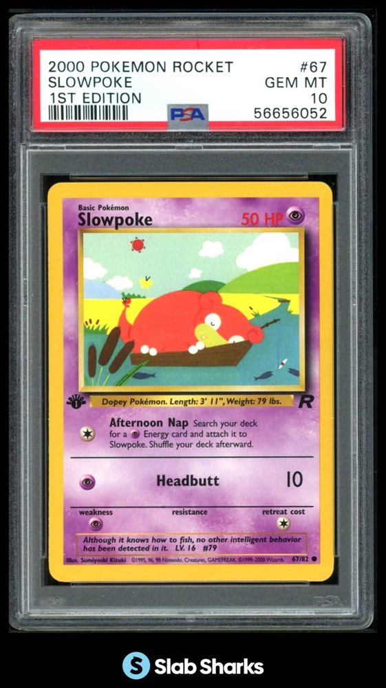 slabsharksinc
