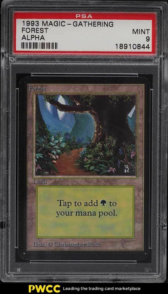 マジック：ザ・ギャザリング MTG  covered forest PSA10 マジック：ザ・ギャザリング MTG covered forest PSA10 マジック