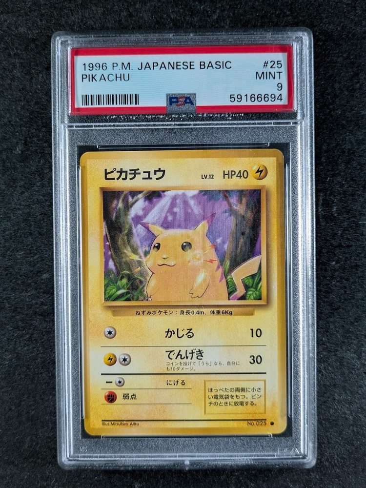 scc_consignments
