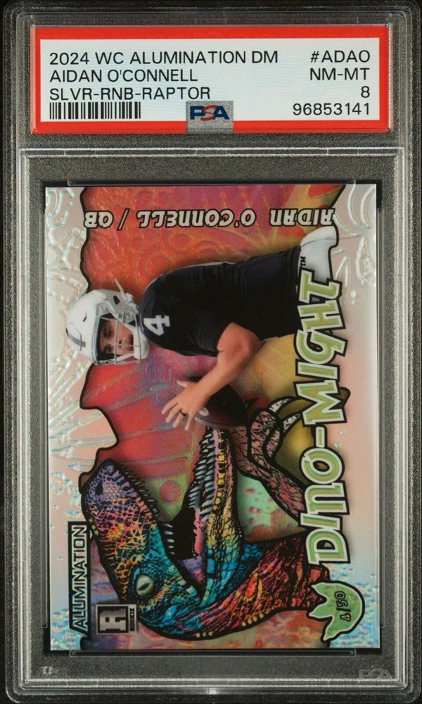 lifetime_collector92