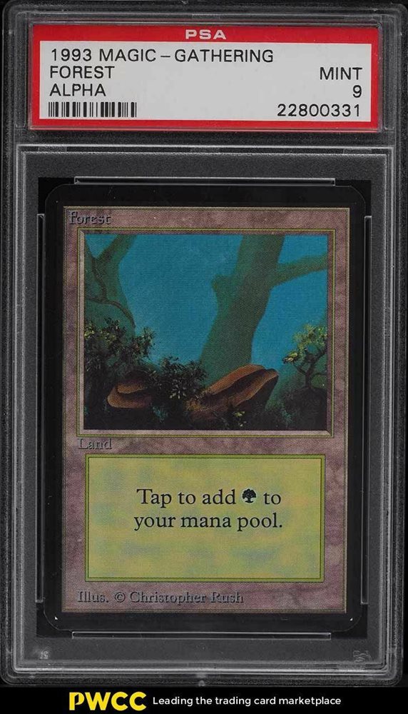 森 Forest  A alpha アルファ　mtg Amazon.com: Magic: the Gathering - Forest - Alpha : Toys & Games
