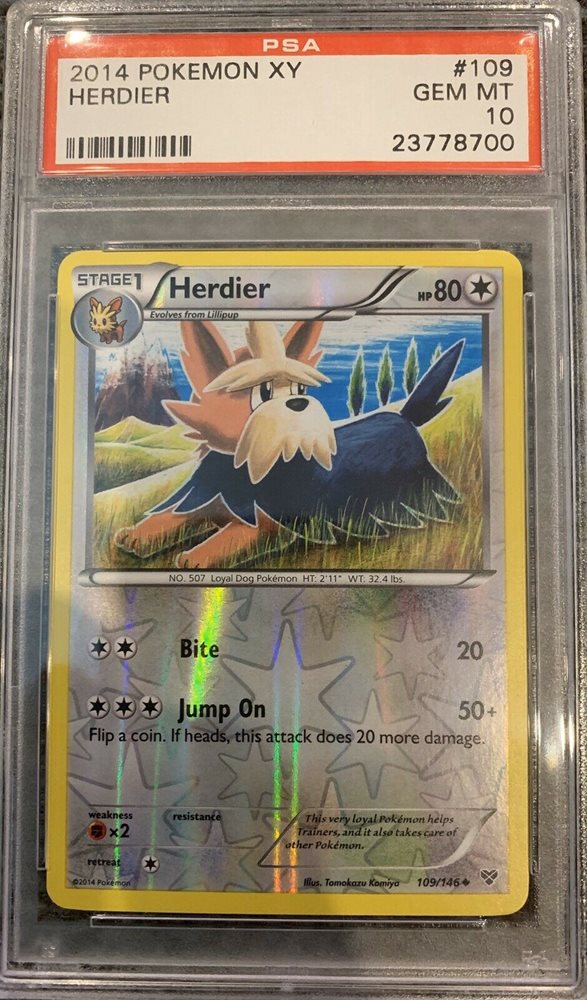 pokemon card frames Pokemon Center Original Display Frame Kanto Gym Badges Japan OFFICIAL main image 1