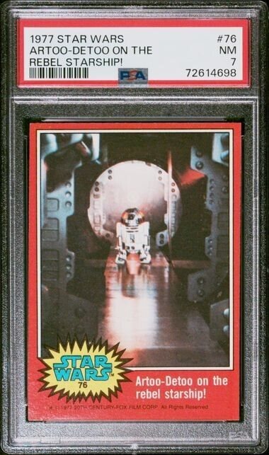 cotton_and_pine_collectibles