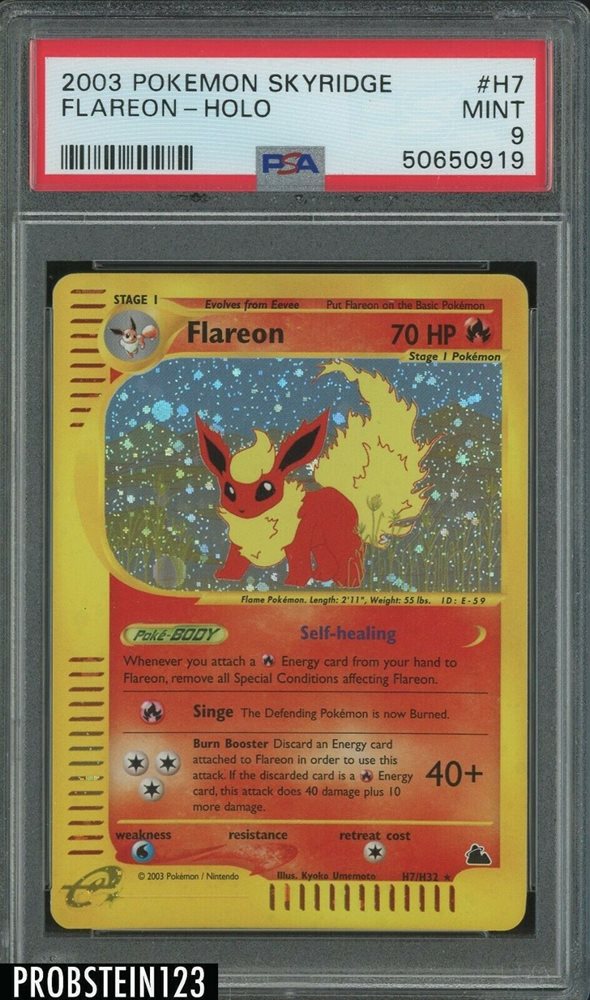 ワンピース Different MaterialPad-in FlareOne-piece eBay Auction Item 373729770715 Tcg Cards 2003 Pokemon Skyridge