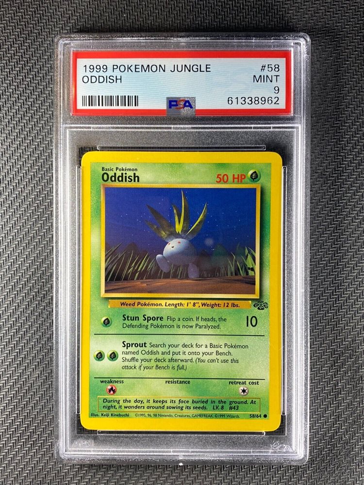 eBay Auction Item 155514825057 Tcg Cards 1999 Pokemon Jungle