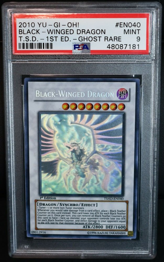 遊戯王 tin 2010 Black−winged dragon 他 Card Gallery:Black-Winged