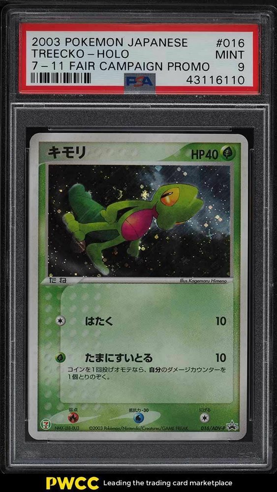 PSA8 キモリ　プロモ　英語版　2004 Treecko EX #016 Auction Prices Realized Tcg Cards 2004 POKEMON BLACK STAR