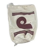 phillies drawstring bag