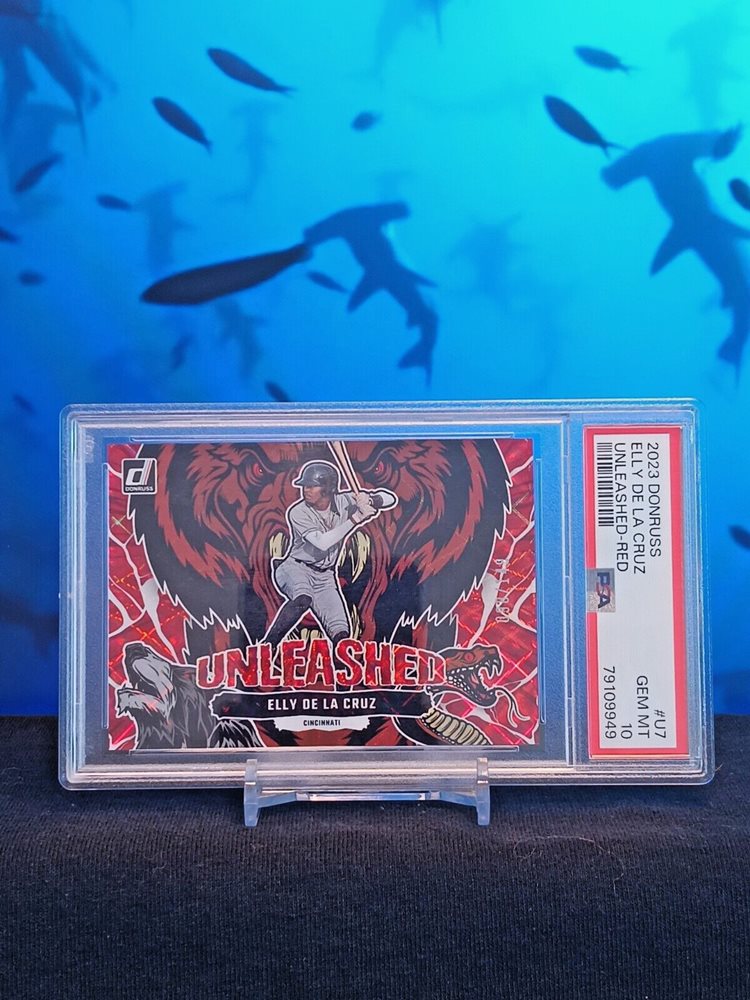 hammerhead_cards_6