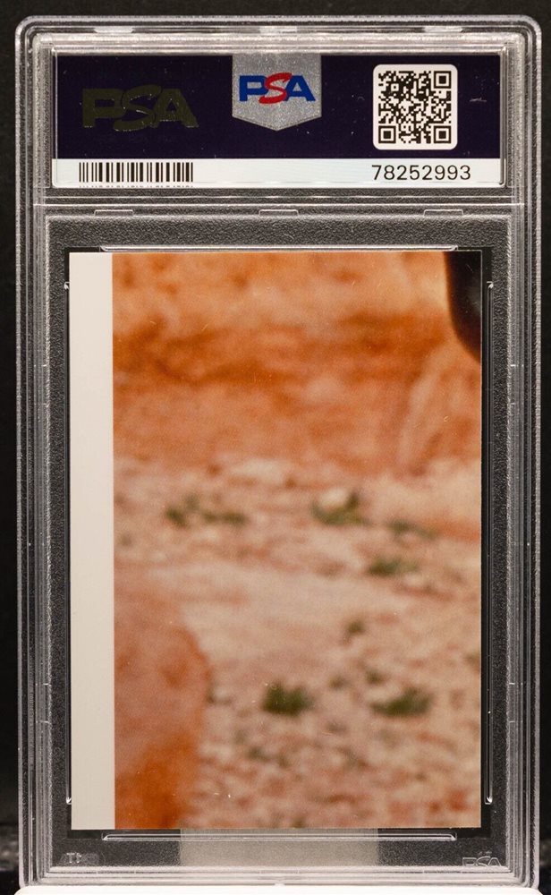 pc_sportscards