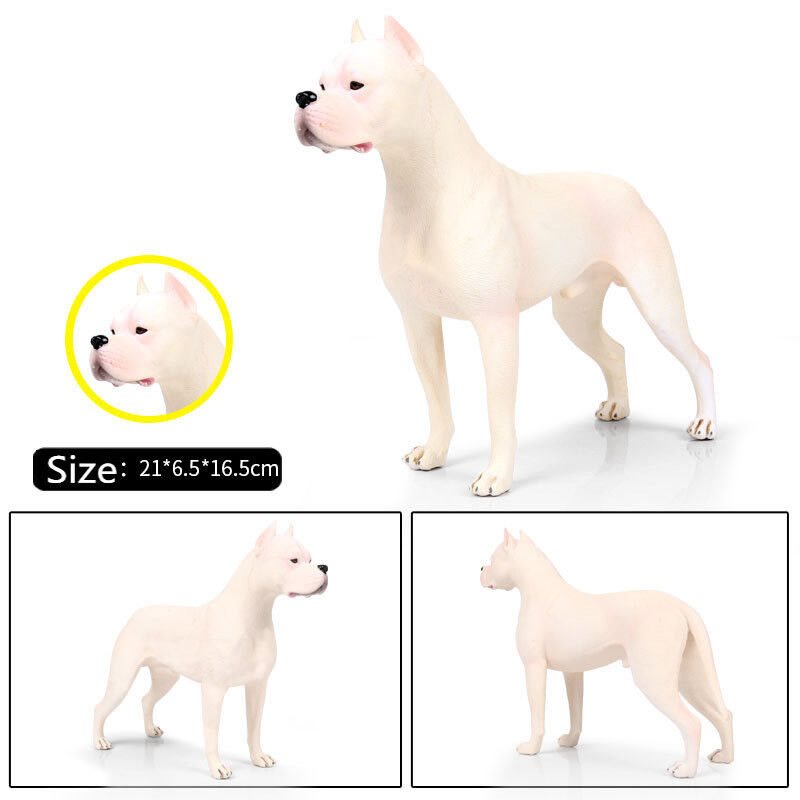 Hunter Dogo Argentinos Dog Pet Animal Figure Model Toy Collector Decor Kid Gift