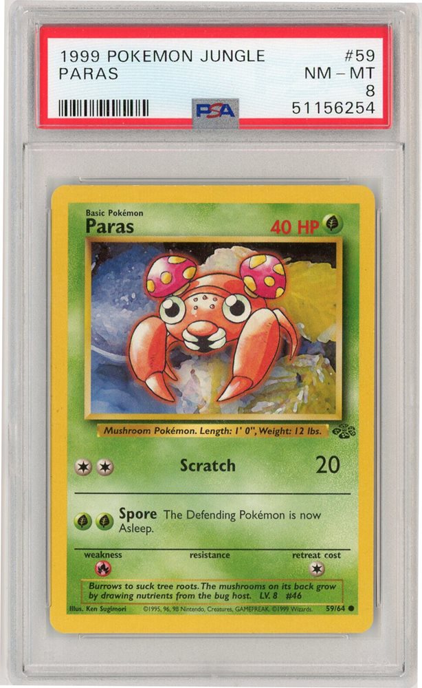 eBay Auction Item 304806880036 Tcg Cards 1999 Pokemon Jungle