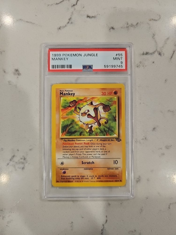 eBay Auction Item 396382048668 Tcg Cards 1999 Pokemon Jungle