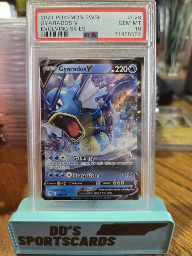 世界254枚 PSA10 ギャラドスV gyarados 2021 53 世界254枚 PSA10 ギャラドスV gyarados 2021 53 254 Copies Of