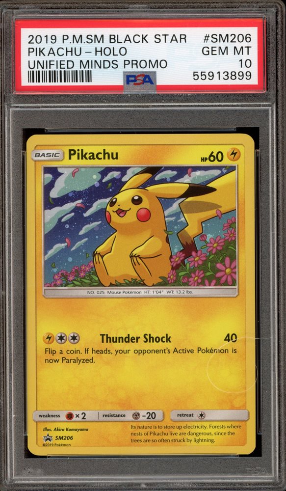 PSA10 SM-P 2019 EAYPACHU プロモカード GEM MT PSA 10 2019 Champions Festival #SM-P Pokemon Japanese SM