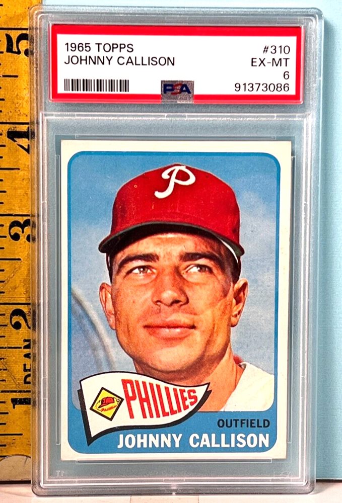 chubbycatcollectibles