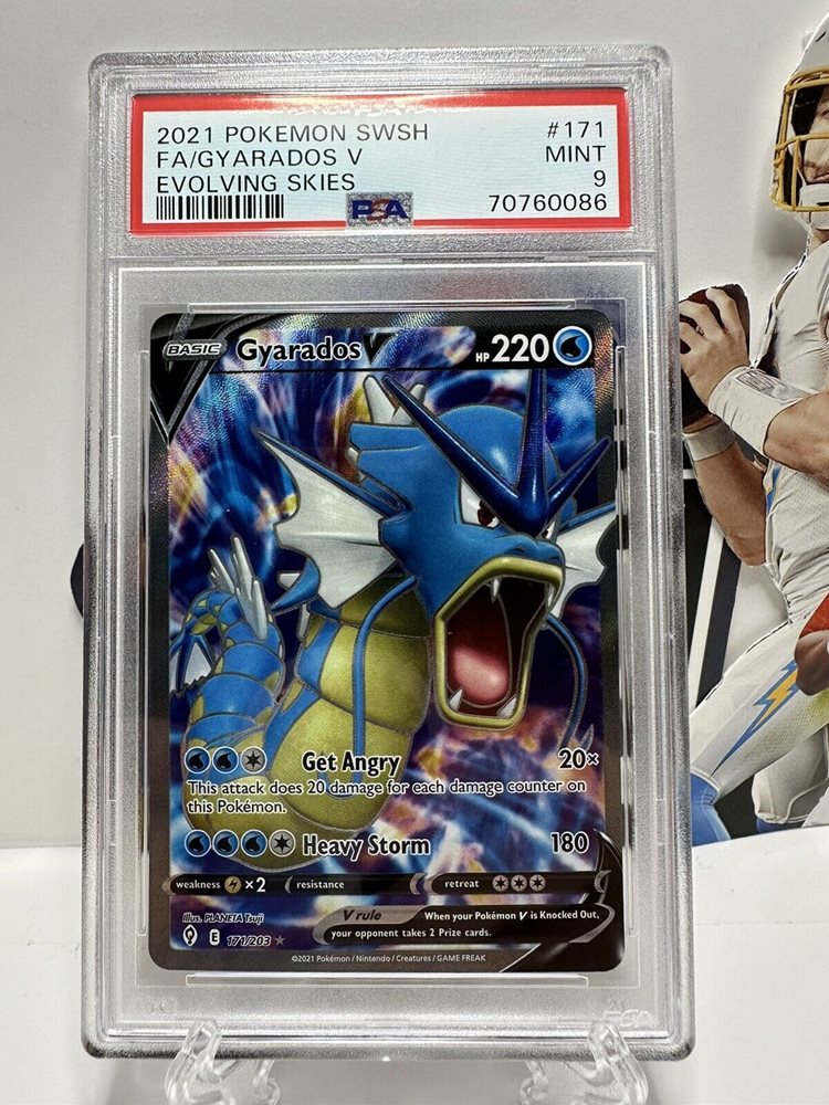 世界360枚 PSA10 ギャラドスV SR gyarados 2021 53 世界360枚 PSA10 ギャラドスV SR gyarados 2021 53 【公式通販】