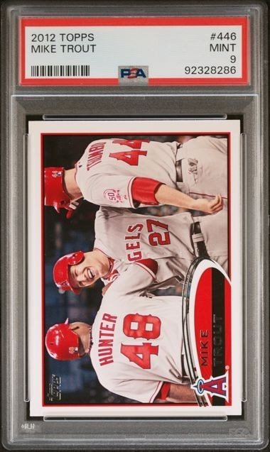 cotton_and_pine_collectibles