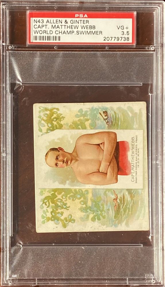 cotton_and_pine_collectibles