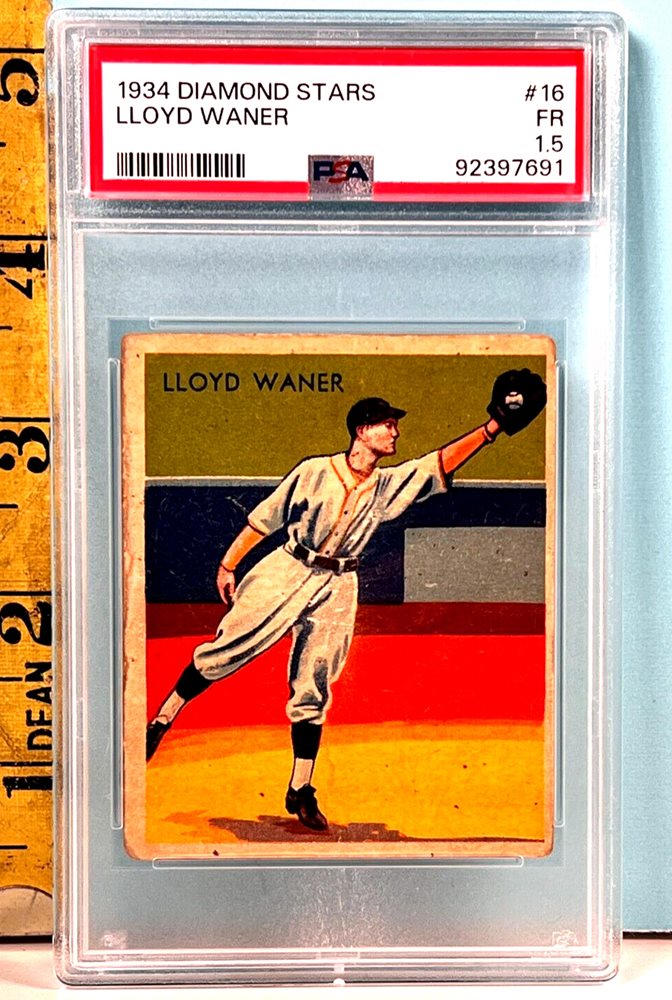 chubbycatcollectibles