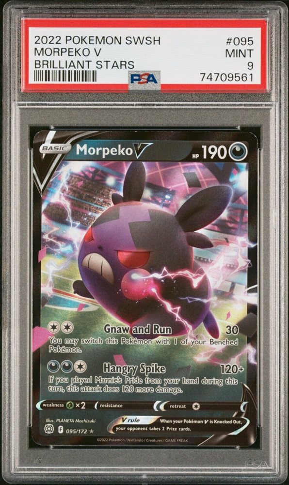 morpeko pokemon card value Rosemary's Morpeko 206/SV-P main image 1