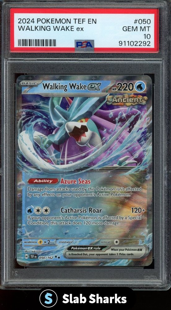 slabsharksinc