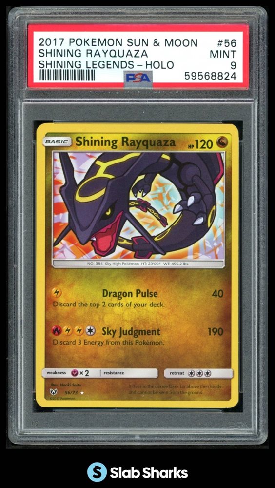 slabsharksinc