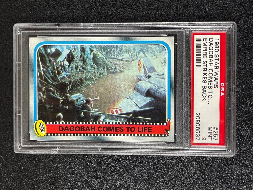 mc_sportscards