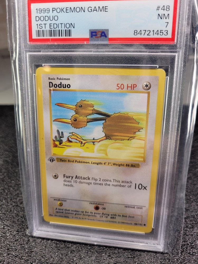 rainedropcollectibles