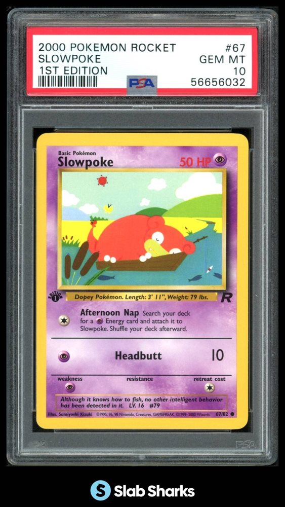 slabsharksinc